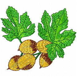 Acorn Embroidery Design 3